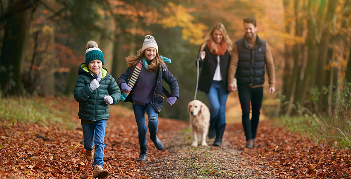 4 Benefits of Owning a Dog – For You and ThemFamily walking dog